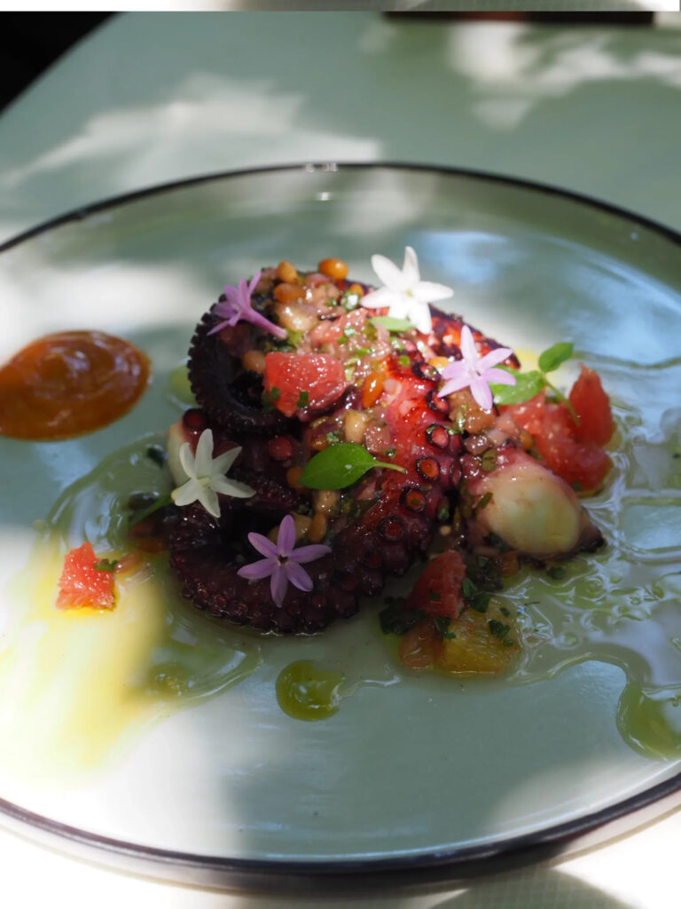 Poulpe grillé accompagné de nectarines et vierge de légumes au miel