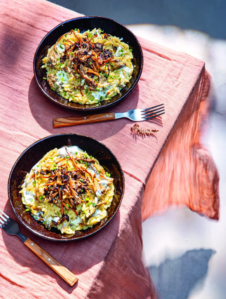 Kritharoto au yaourt, champignons sauvages et truffe