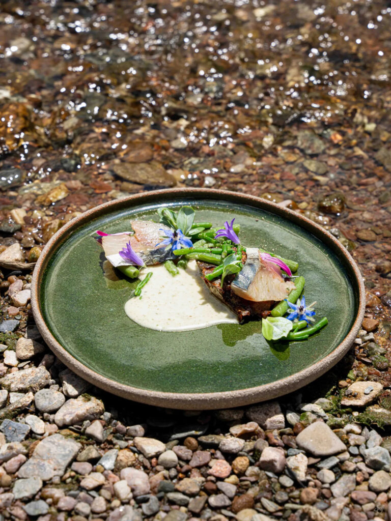 Maquereau juste saisi accompagné de caviar de courgette, haricots verts et algues