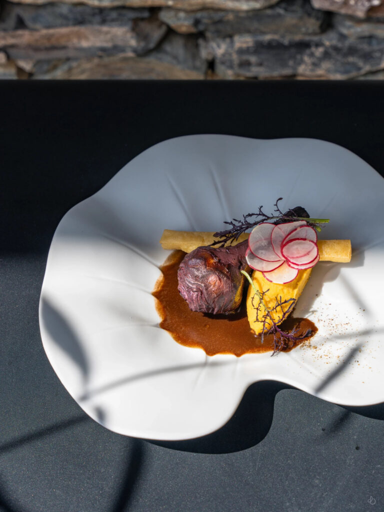 Artichauts cuits au vin rouge avec houmous et panisse