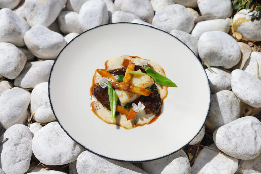Turbot maturé, asperges blanches, morilles, émulsion de beurre noisette