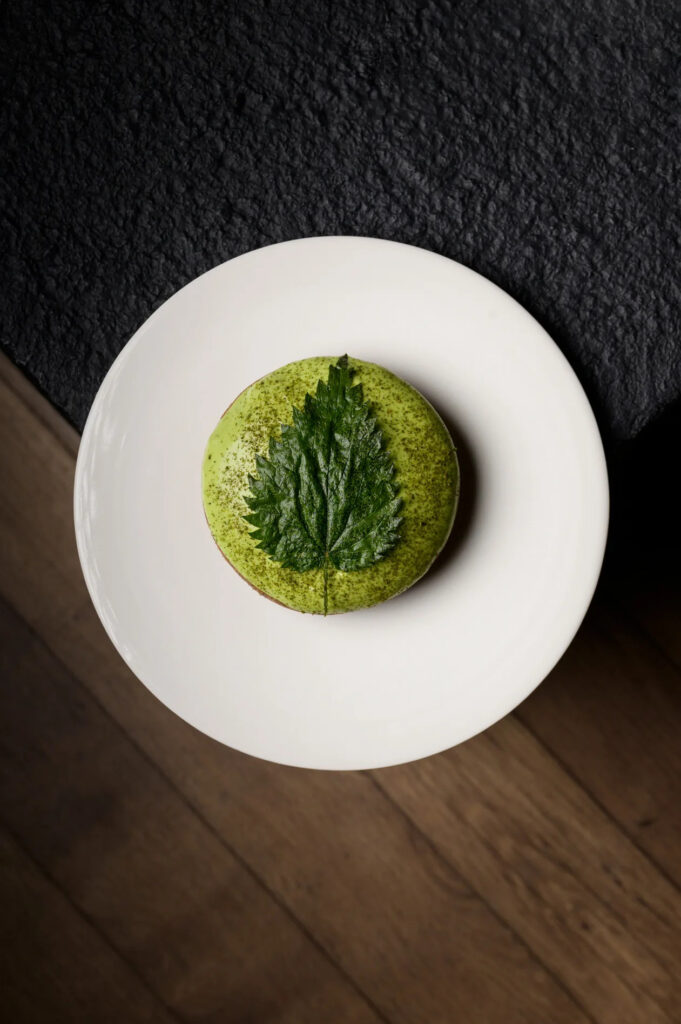 Tartelettes aux escargots et orties